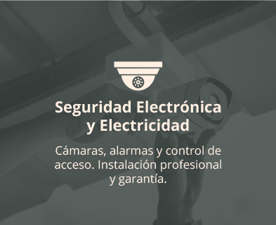 Seguridad electrónica